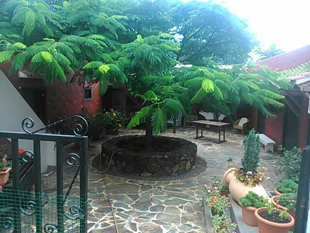 הוילה סנטה קרוס דה לה פלמה Casita Del Medianero מראה חיצוני תמונה